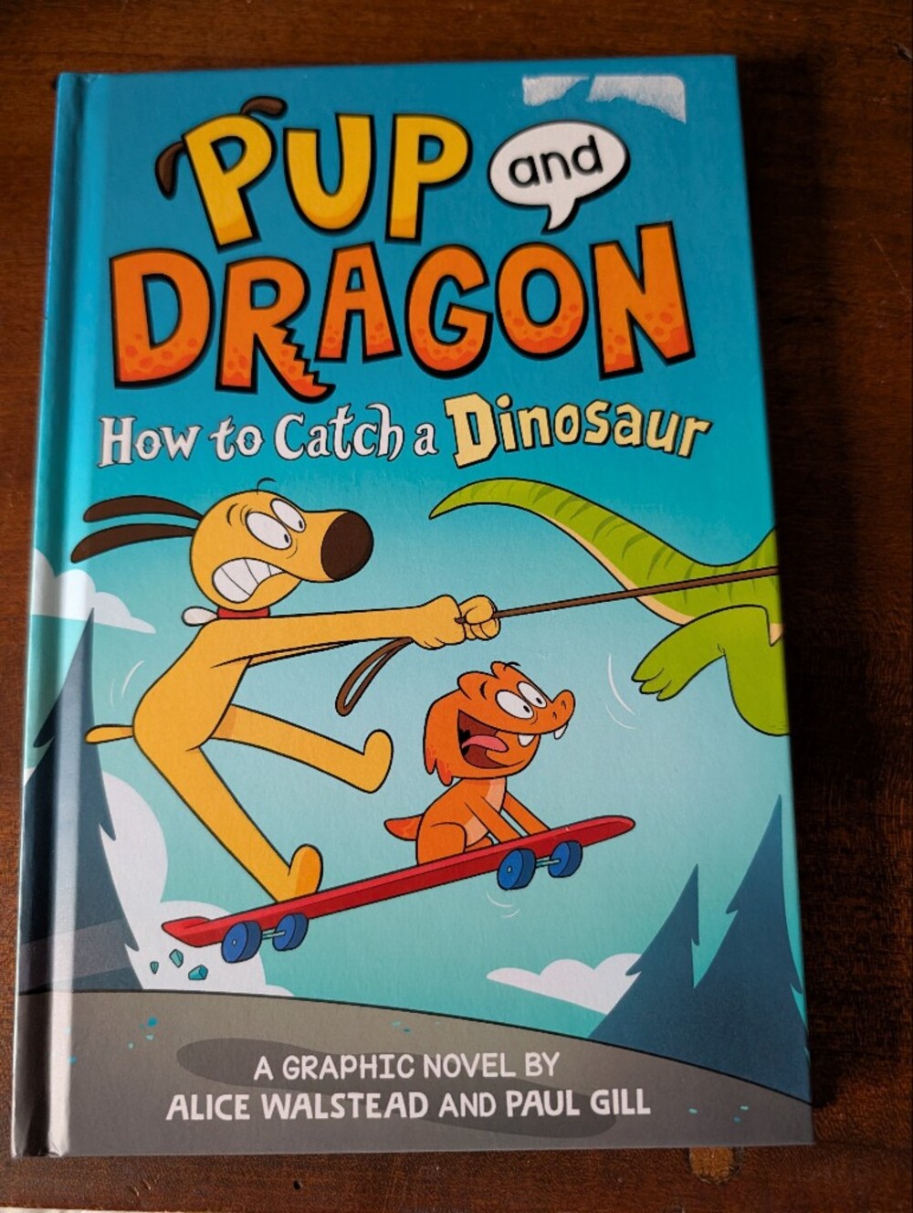 Pup and Dragon How to Catch a Dinosaur Hardcover